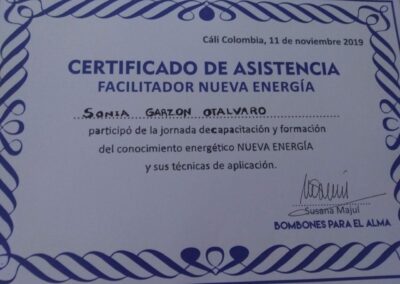 Facilitador nueva energia